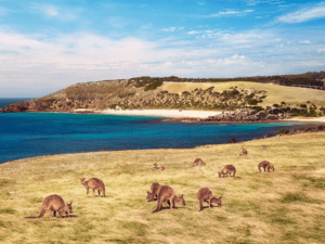 Kangaroo Island